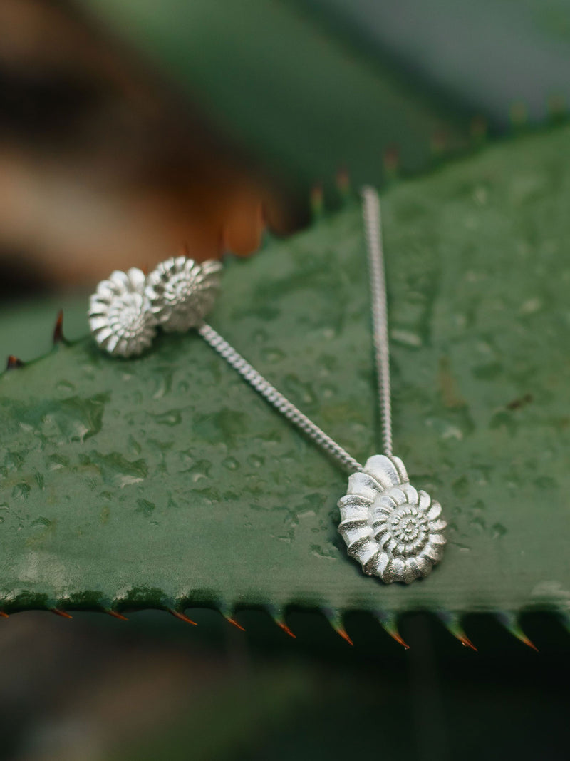 Eco silver earrings SHELL