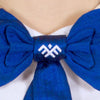 Blue Raw Silk Bow Tie TRIIN